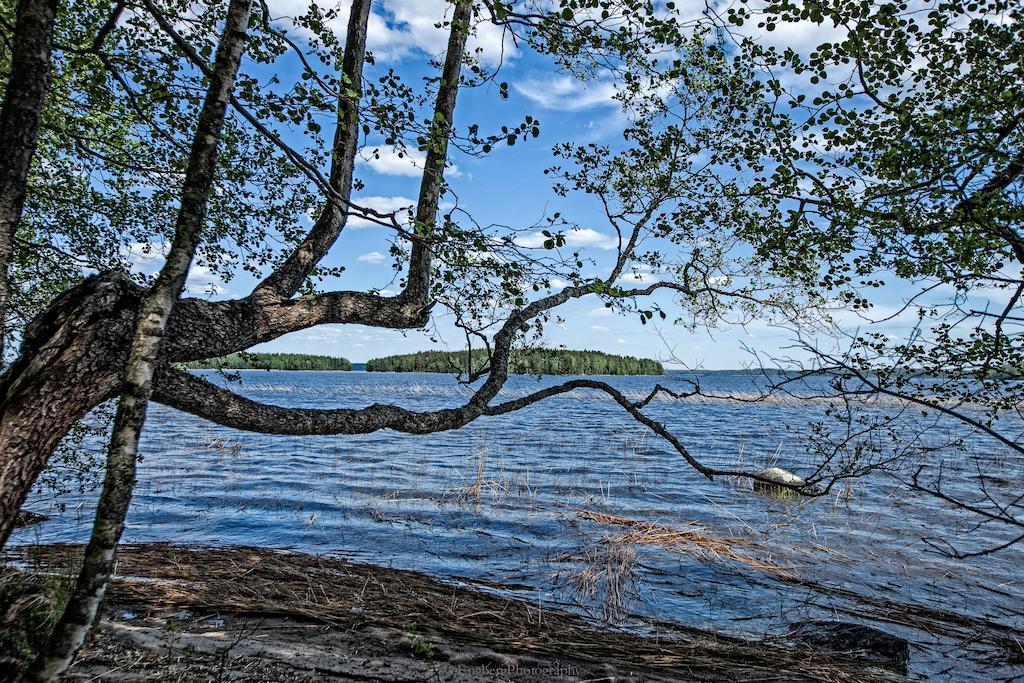 Villa Jolla Padasjoki Exteriör bild